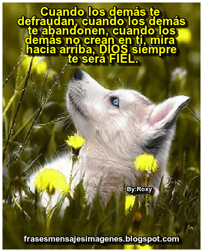 Frases para tu Corazón: Cuando los demás te defraudan