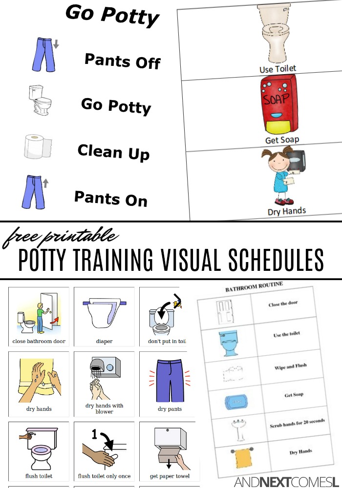 Free Potty Training Visual Schedules And Next Comes L Hyperlexia Resources