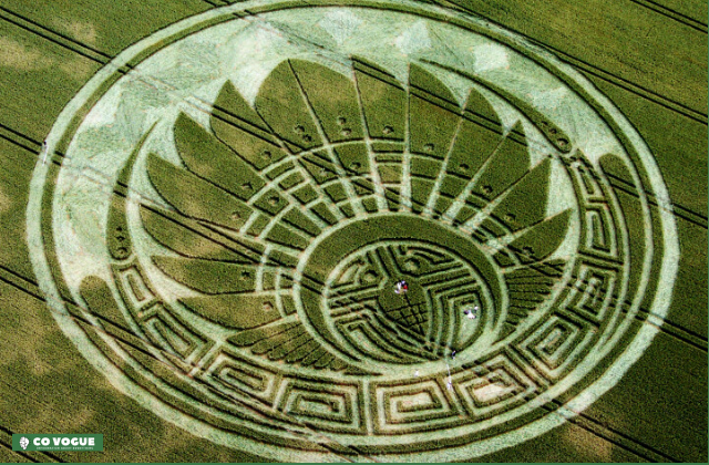 crop circle mystery crop circle mystery