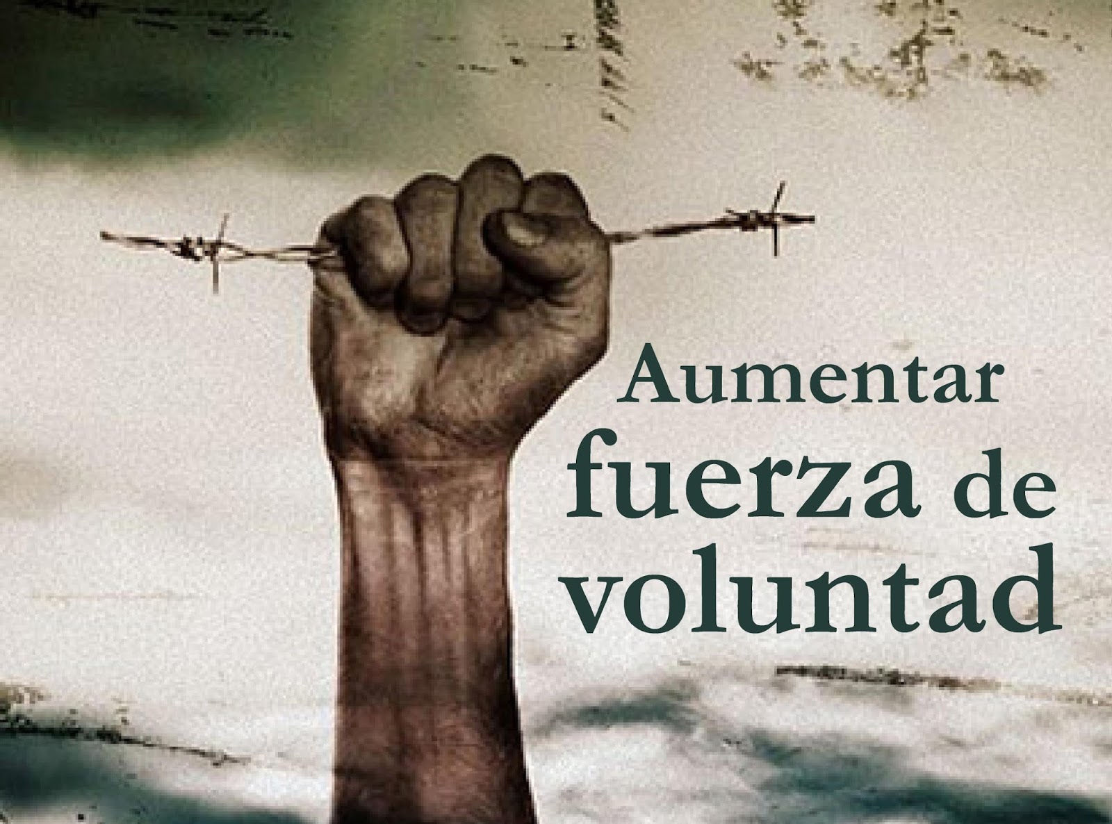 como fortalecer la voluntad como fortalecer la voluntad