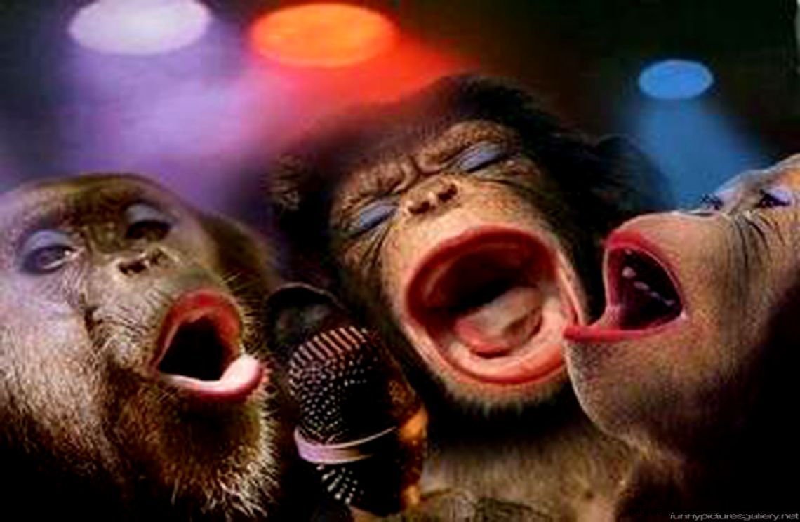 Funny Monkey  The Art Mad Wallpapers