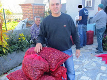 Muita castanha e boa