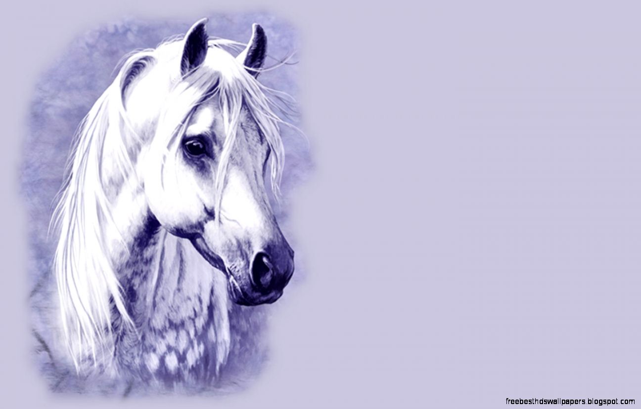 Walls4Joy Grey horse f2 equine art wide screen artwork painting