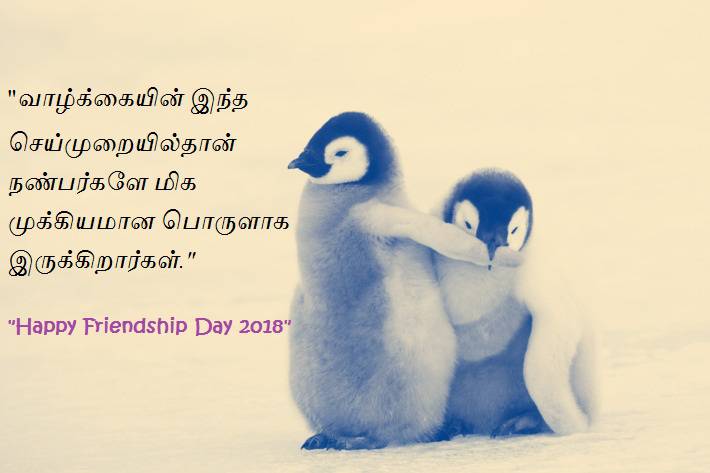 Images of sun and moon pokemon episode 27 english dub full Friendship day date images tamil