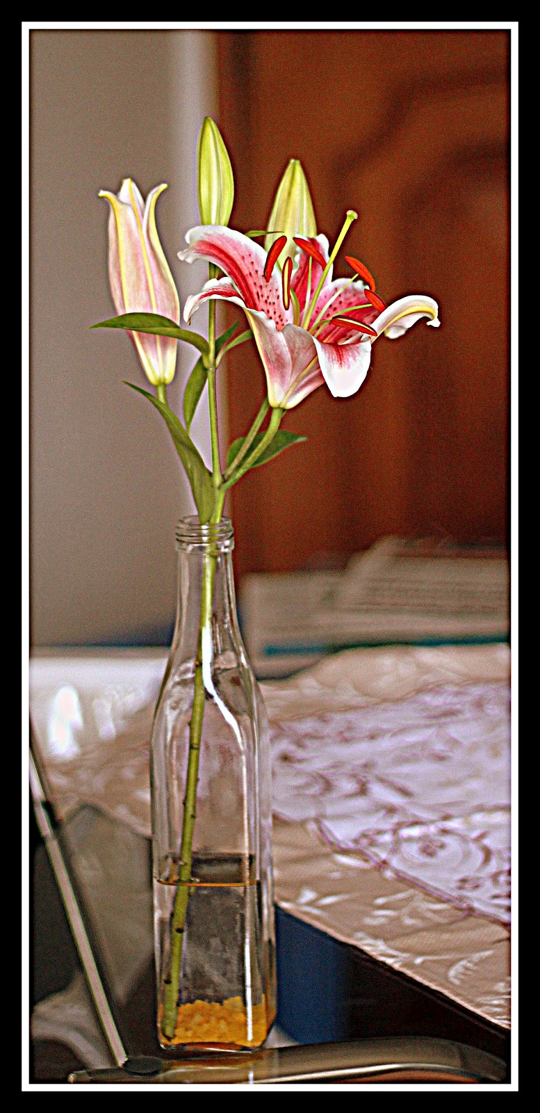 RECICLAR EM CASA Simples E Bonito