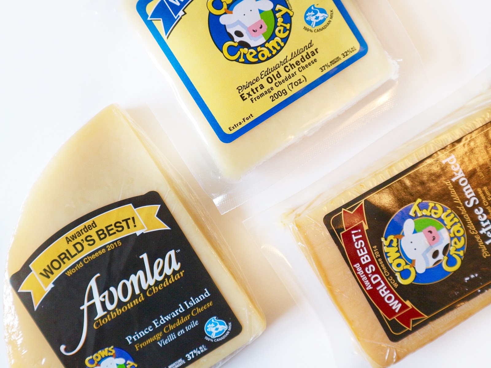 The Staycationer Let's Get Cheesy Edition 2017