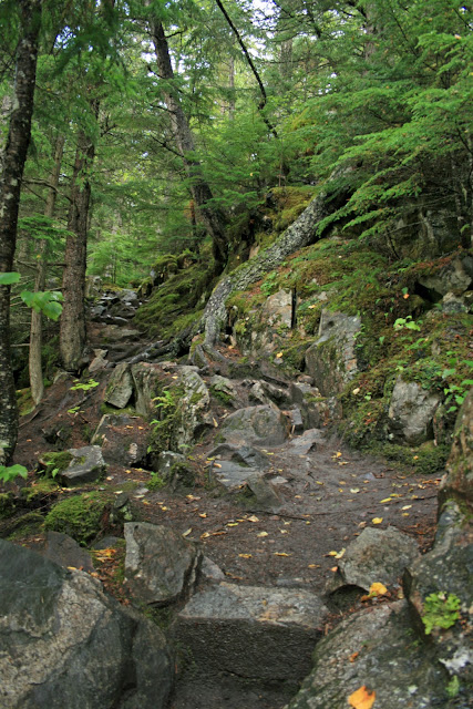 LA QUIMERA DEL ORO. EL CHILKOOT TRAIL (I) - LA ULTIMA FRONTERA. CRONICAS DE ALASKA (2)
