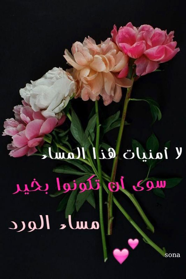 صور مساء الخير