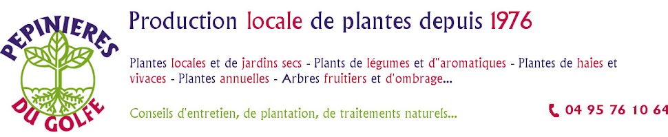 Pépinières du golfe - Propriano : Pépinières de production locale de plantes 