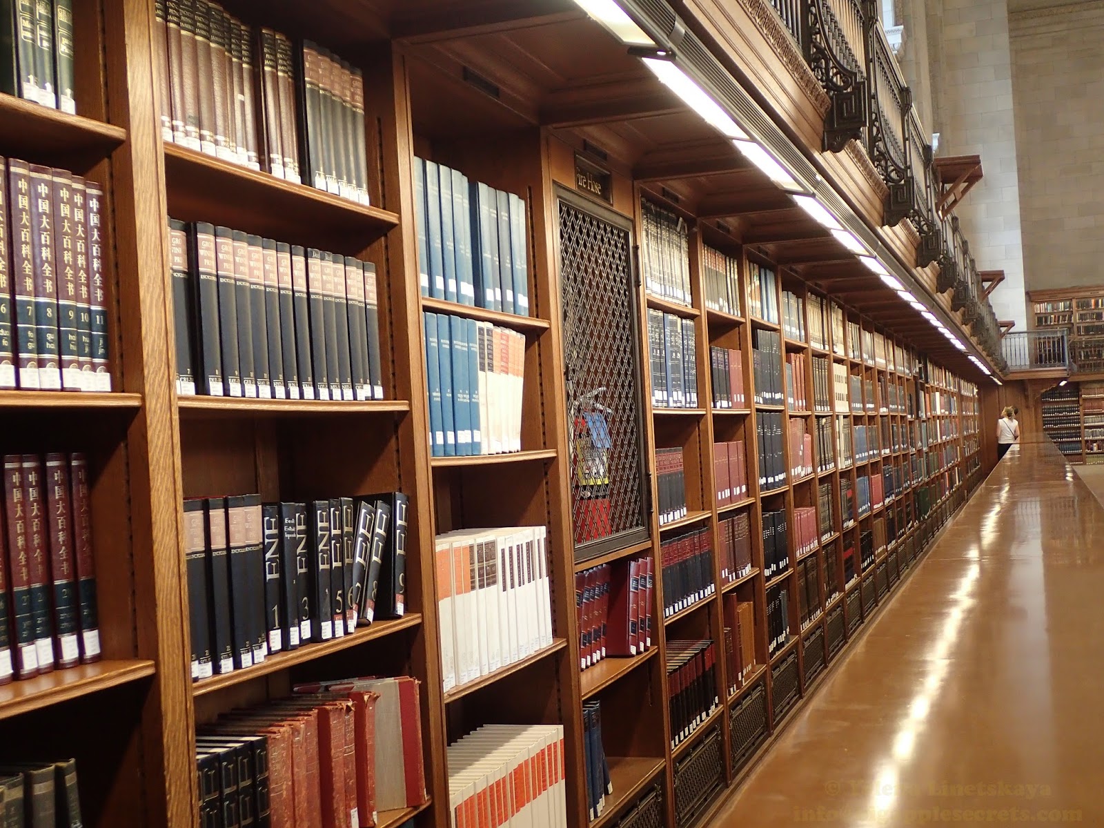 Какие залы в библиотеке. Публичная библиотека Нью-Йорка. Климов спецхран Нью-йоркской библиотеки. Библиотека Ахундова читальный зал. Читальный зал в библиотеке.