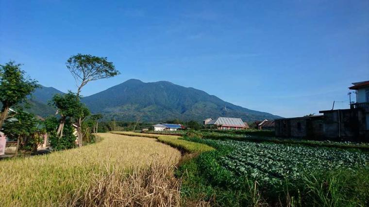 Gunung di Sumatera Barat ~ Lintas Daftar