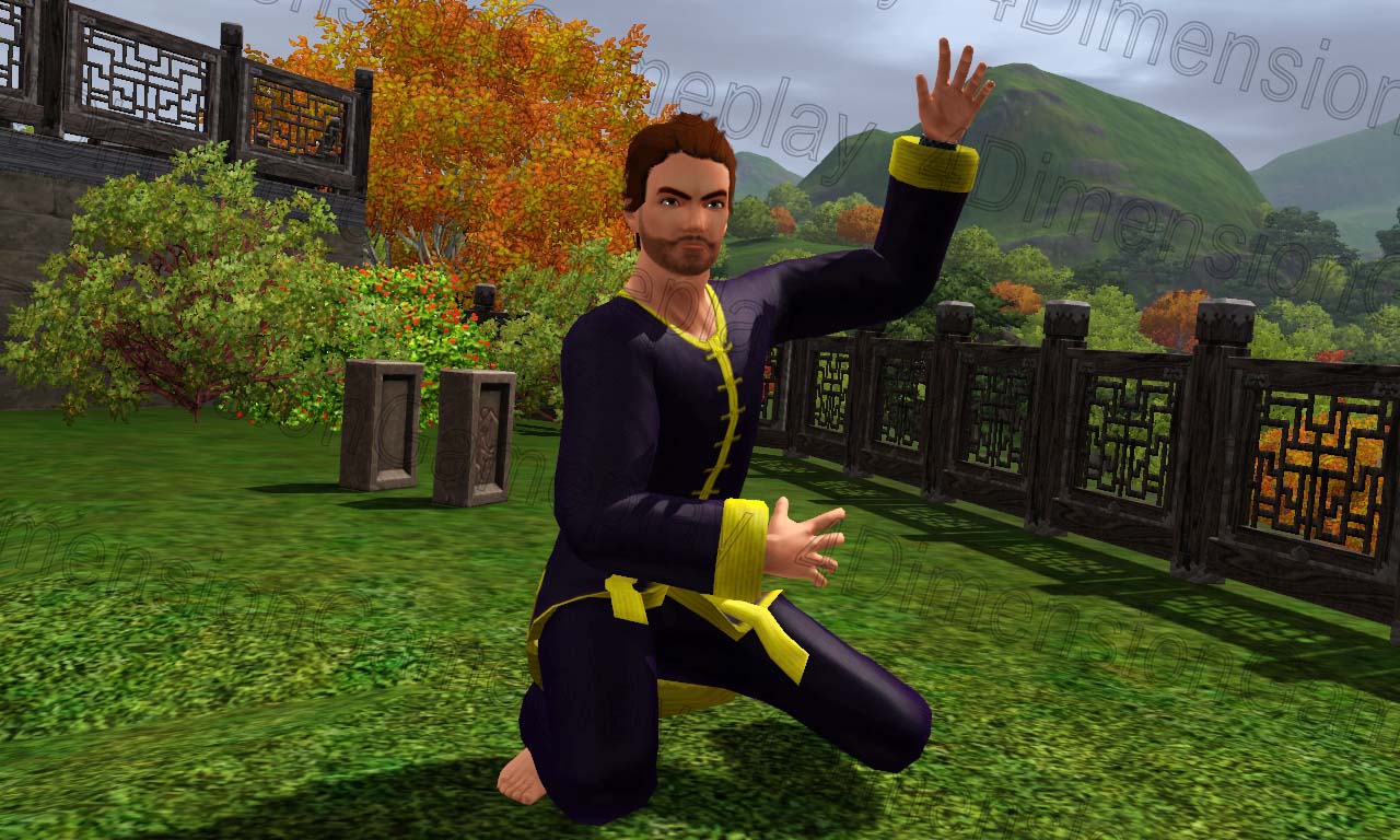 Martial Arts Master Sims 3 Guide