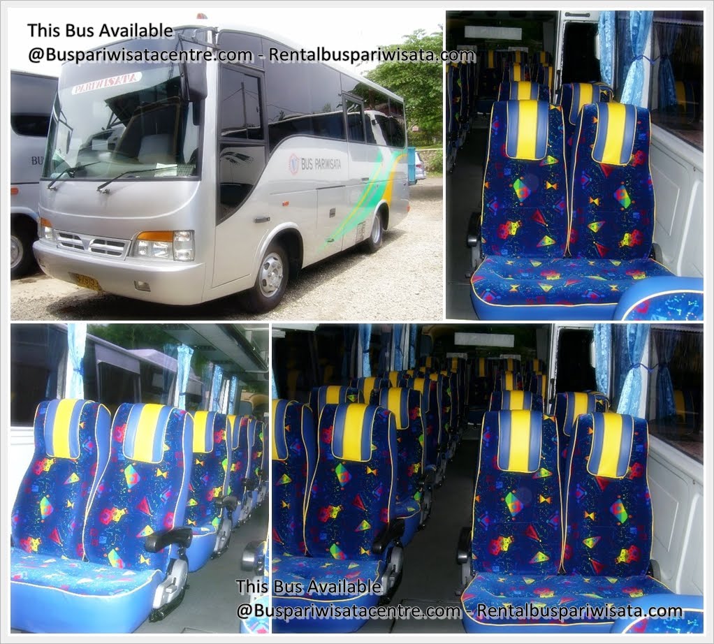 Virgo: Raja Jalan Raya yang Membawa Anda Menuju Petualangan