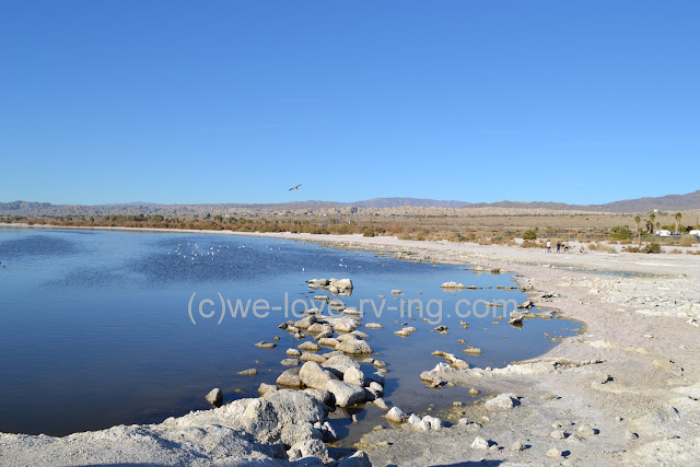 A view of the Salton Sea with the rocky shoreline