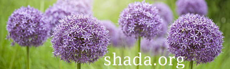 shada.org