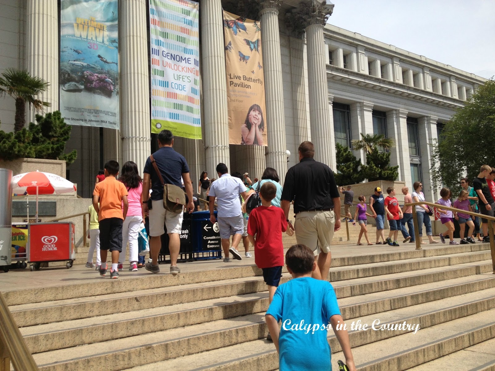 Museum of Natural History Museum of Natural History
