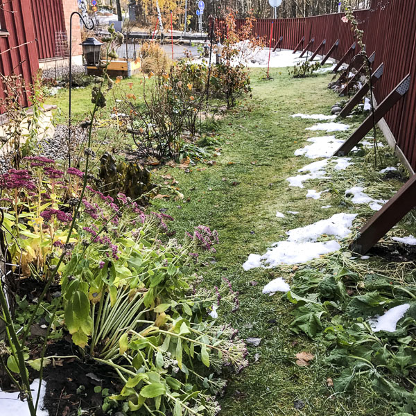 trädgård, garaden trädgård, garden