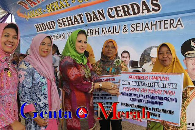 Puluhan Ribu Warga Tanggamus Sambut Kunker Gubernur Lampung