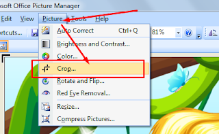Crop Foto Gambar Ms Picture Manager