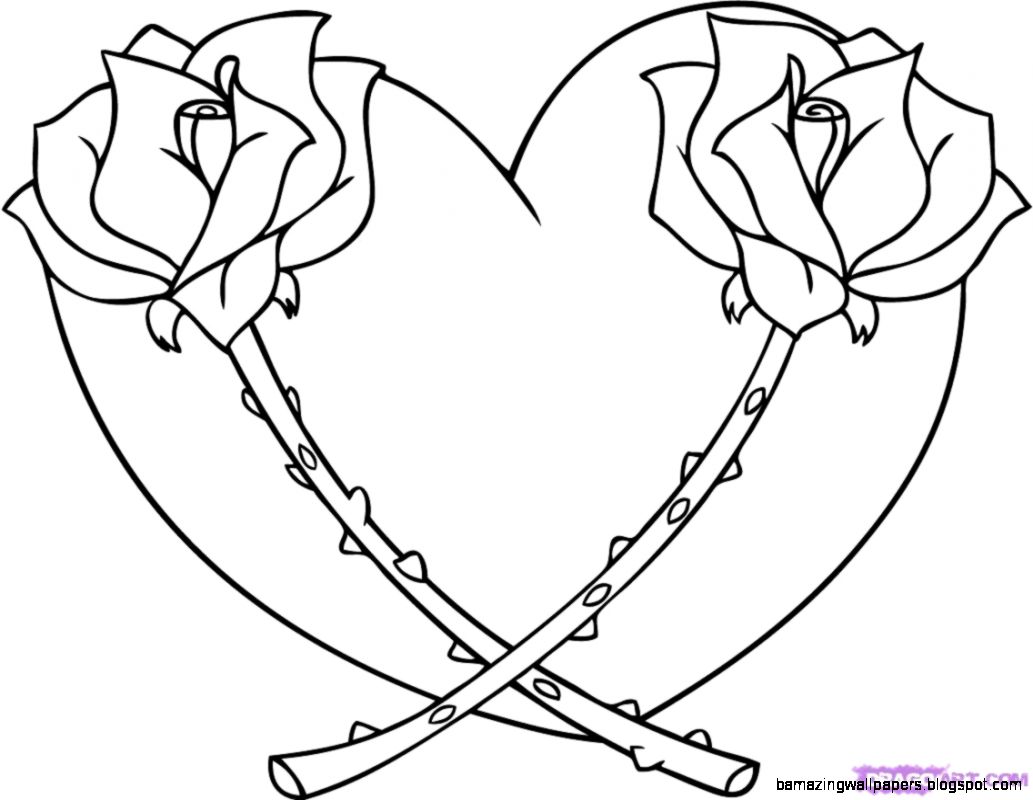 Roses And Heart Drawing