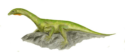 reptiles del permico Protorosaurus