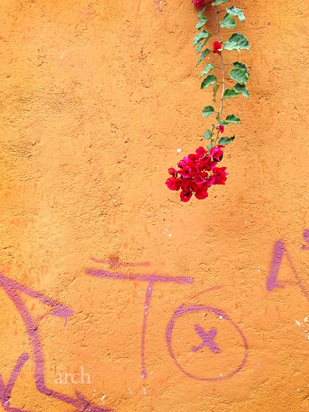 Rang-Decor Interior Ideas predominantly Indian: Colour canvases of