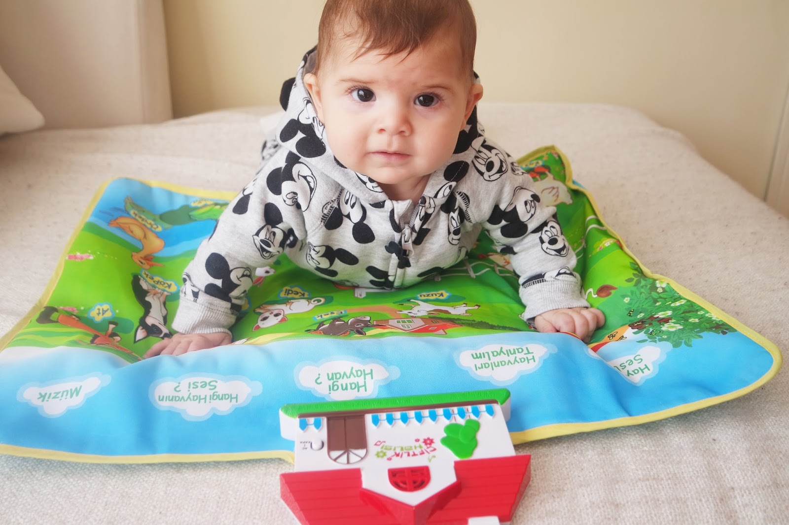 Bebeevi AliBabanın Çiftliği Oyun Halısı