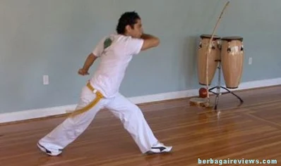 teknik dasar gerakan capoeira