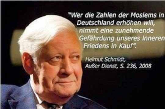 Helmut Schmidt Zitate Zuwanderung