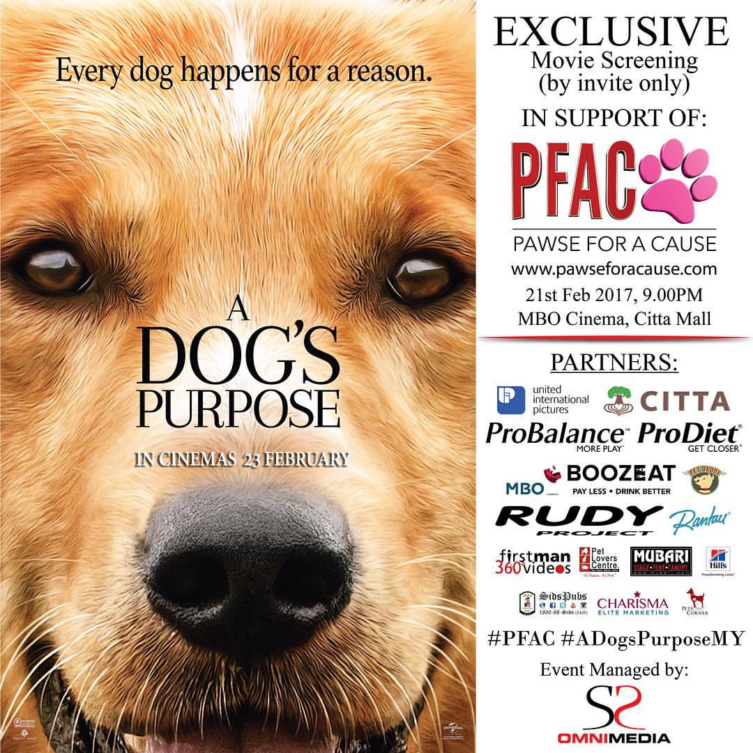 a s purpose preview official launch of pawse for a cause a s purpose preview screening betty s journey a s purpose preview official launch of pawse for a cause a s purpose preview screening betty s journey
