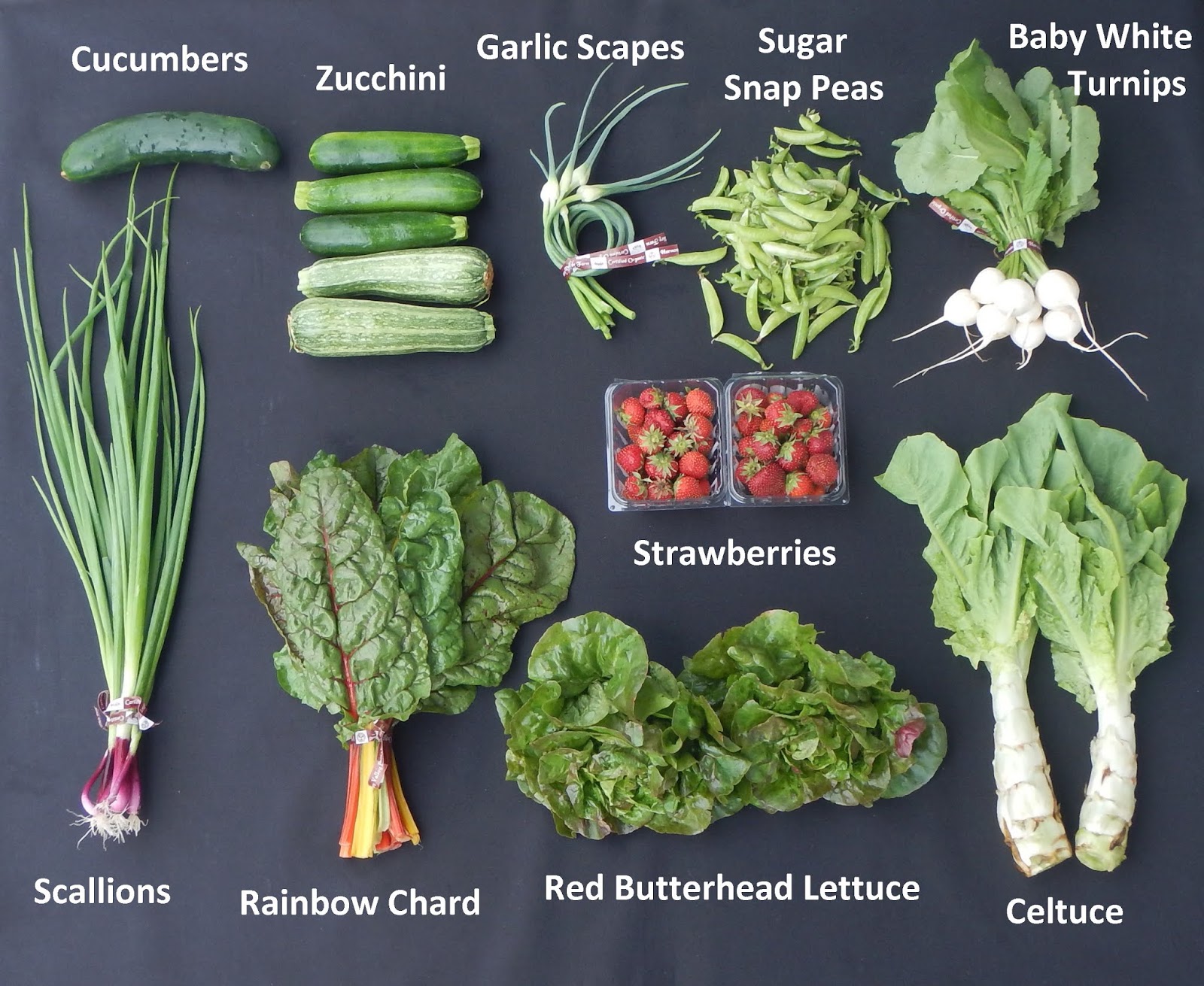 Harmony Valley Farm June 2018