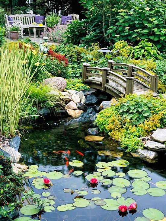 I Need New Things: Garden Ideas!