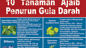 Buah Dan Sayuran Untuk Menurunkan Gula Darah Language:id / Sayuran Untuk Penderita Diabetes Menurunkan Gula Darah Erabaru