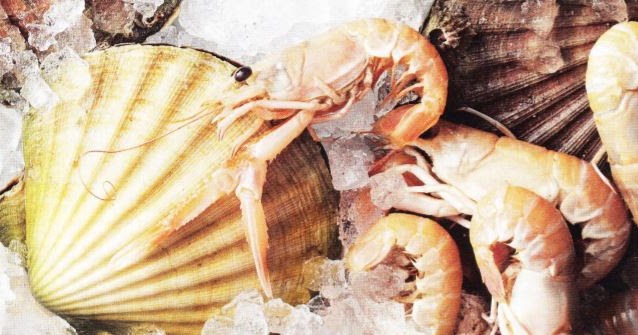 Roulette Sportwetten Betting Trading Selzer-McKenzie: Kochen 27.8.2018