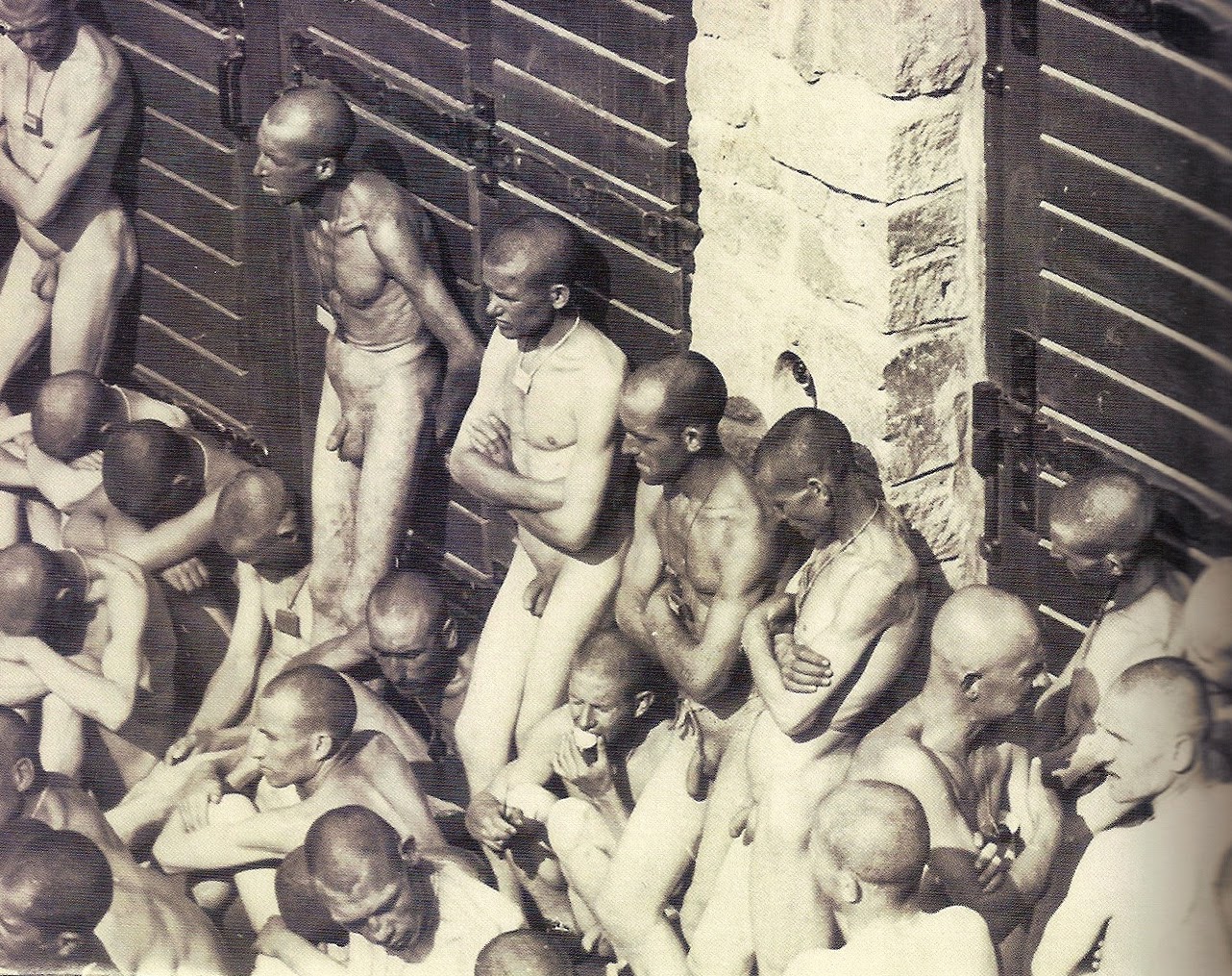 голый женщины в концлагере фото 111