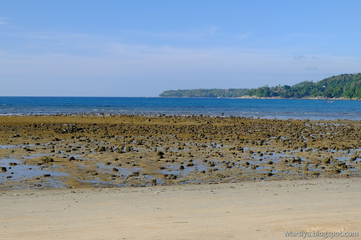 Поющий пляж. Поющий пляж. Поющий пляж. Валунный пляж. Бухта петрова поющие пески приморский край.
