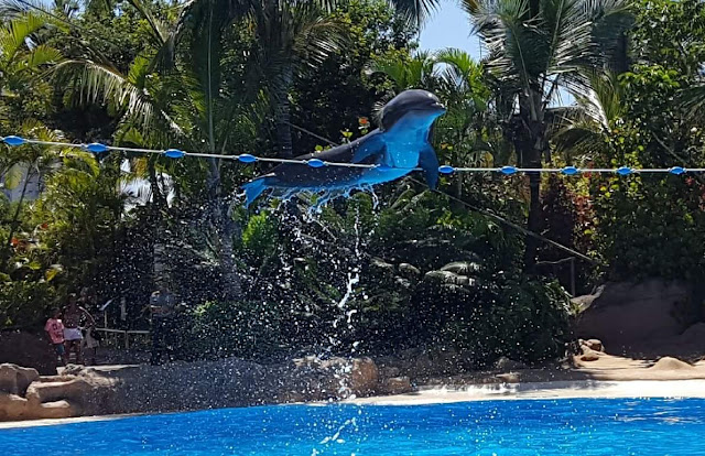 Dolphin jumping over a hanging line above a pool