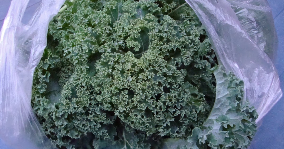 Cooketteria: Grünkohl (Kale) Chips aus dem Backofen