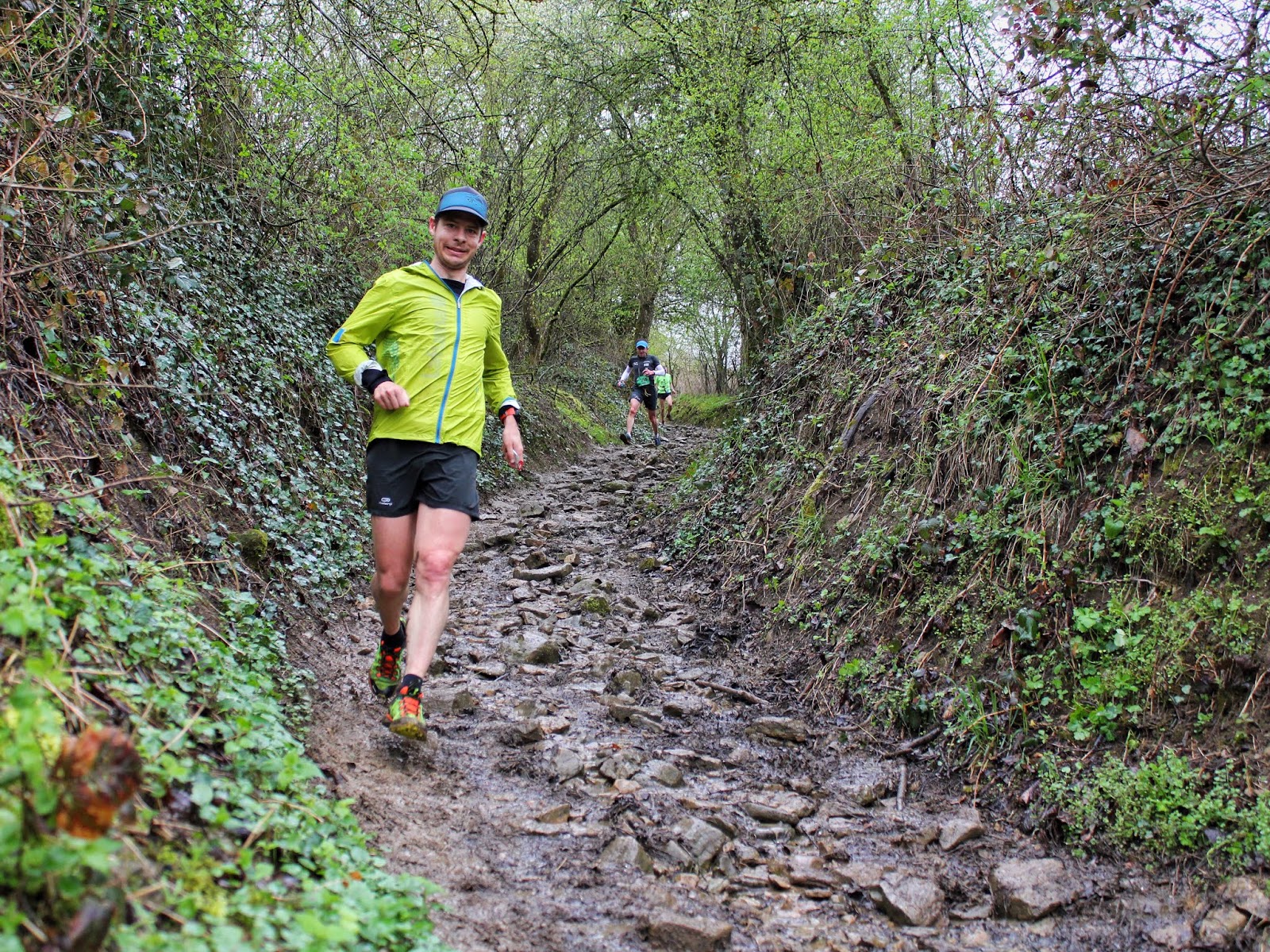 Daniel Rowland Jura Mountains And Mont Tendre