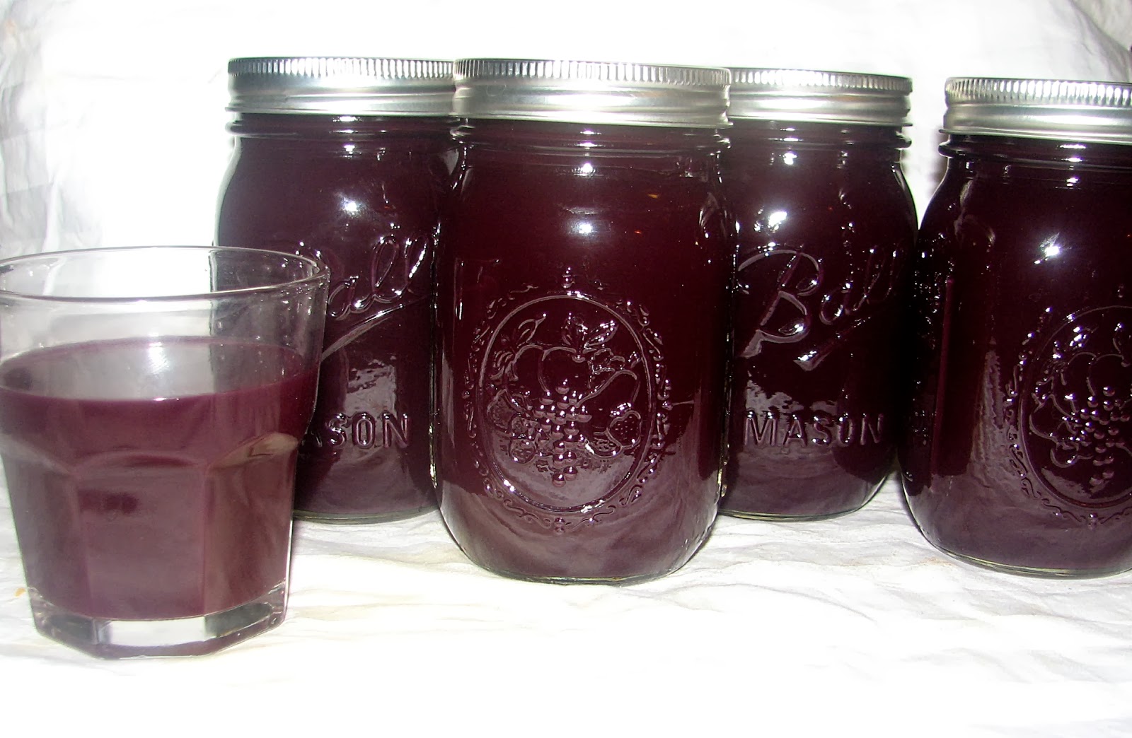 FOOD PRESERVING Black Grape Juice