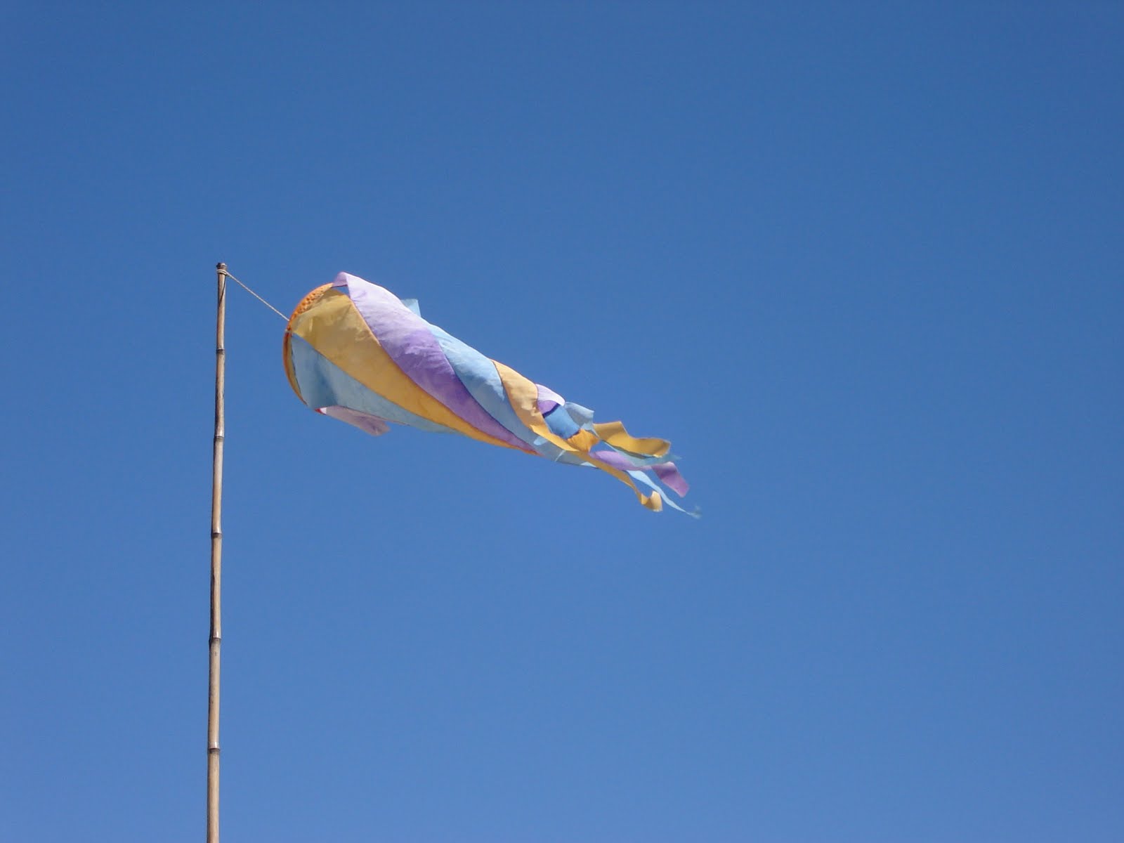 Rica Ferrer Fotografias 