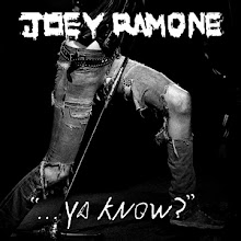 joey: new album