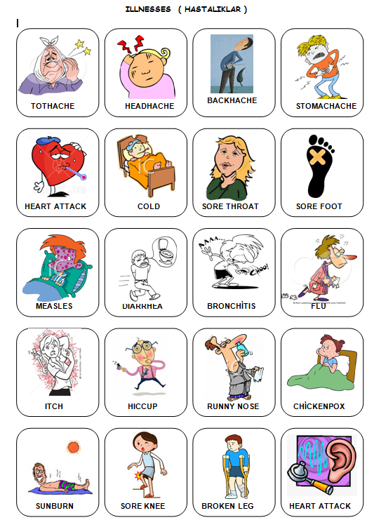 4. Sınıf ingilizce Resimli İngilizce Kelimeler - Ders ve Çalışma Kitabı