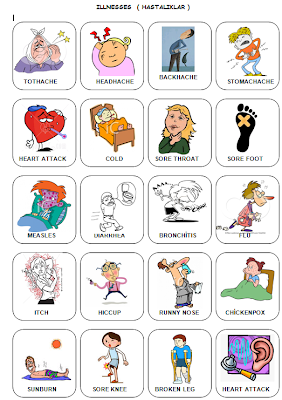 4. Sınıf ingilizce Resimli İngilizce Kelimeler - Ders ve Çalışma Kitabı