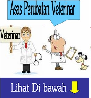 Bukan doktor veterinar: Asas Perubatan Veterinar