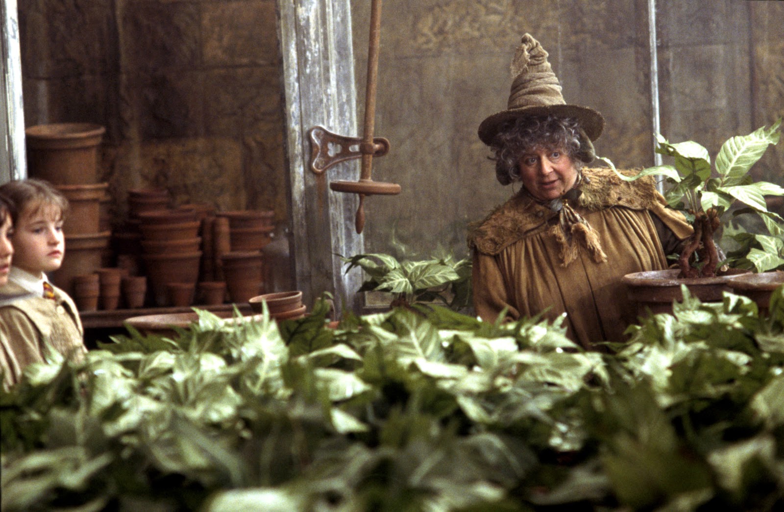 Heróis nãoreconhecidos Pomona Sprout. House Hogwarts