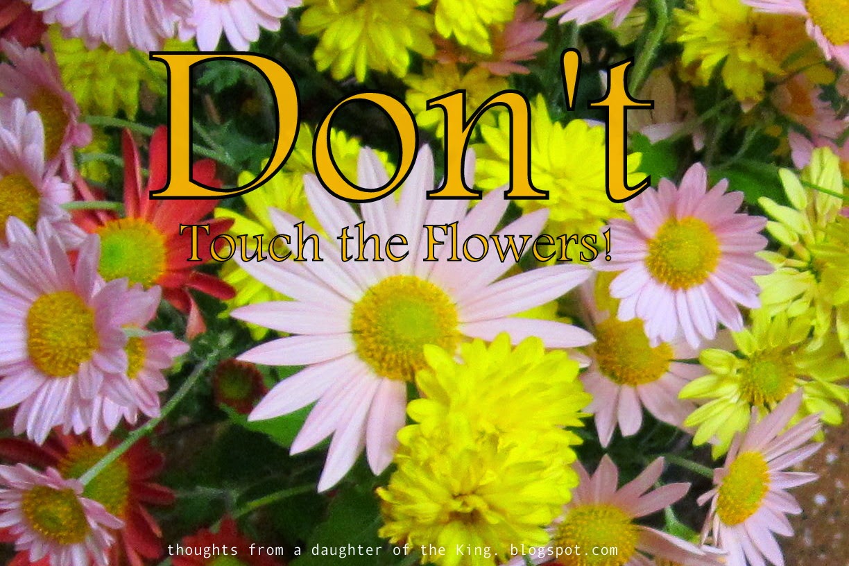 Thoughts from a Daughter of the King Don't Touch the Flowers