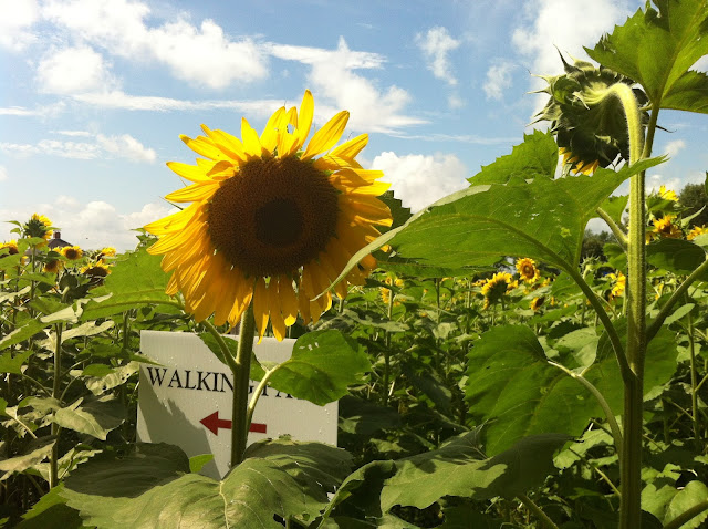Buttonwood Farms in southeastern Connecticut