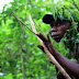 Four Tips On Surviving The African Bush