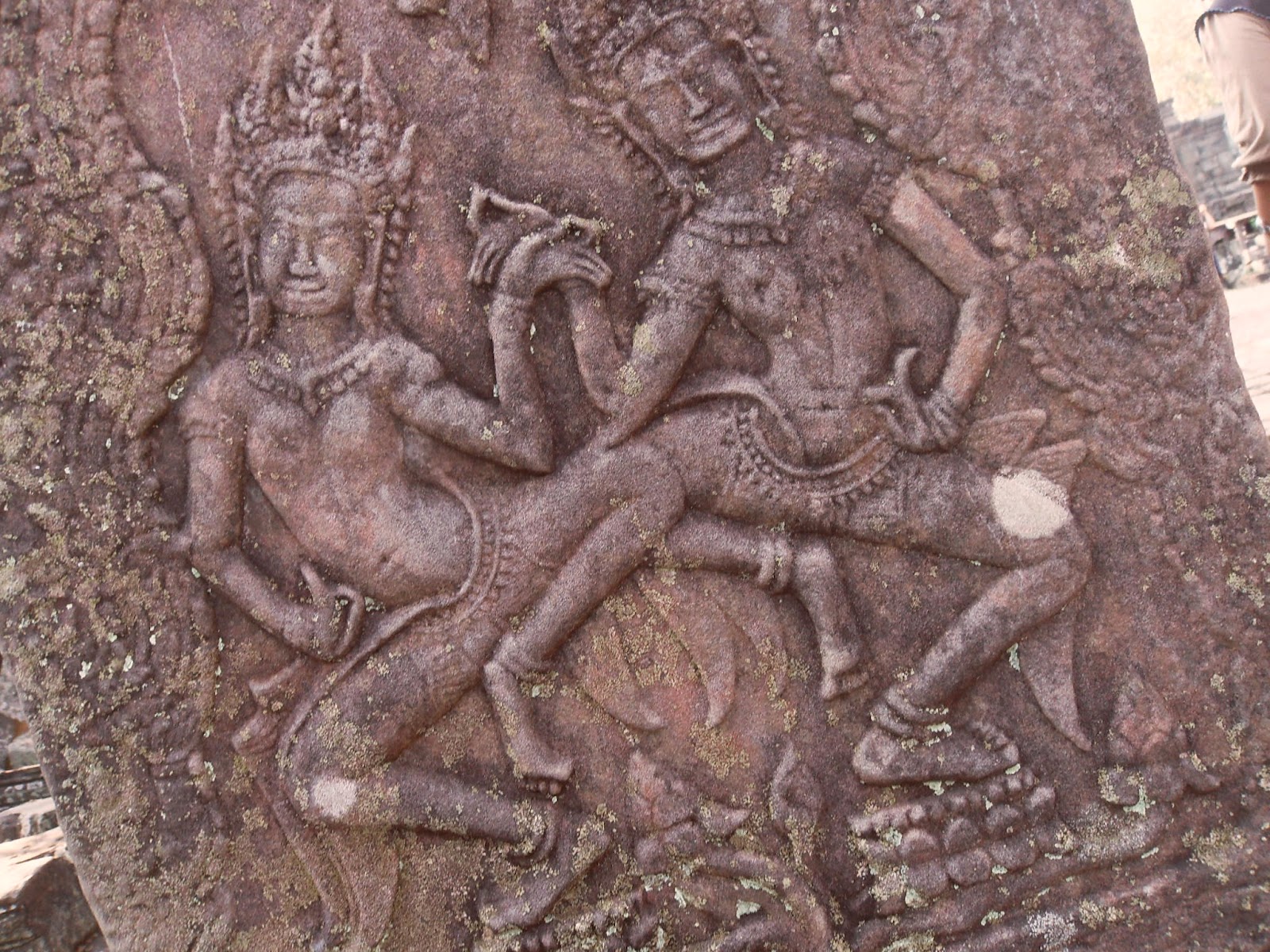 SDC14655.JPG